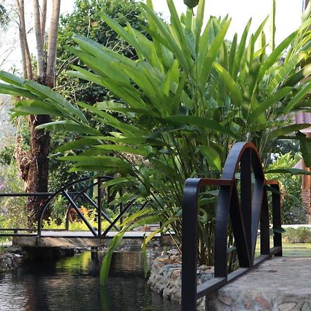 In My Dream Resort Ban Huai Maenam Noi Esterno foto