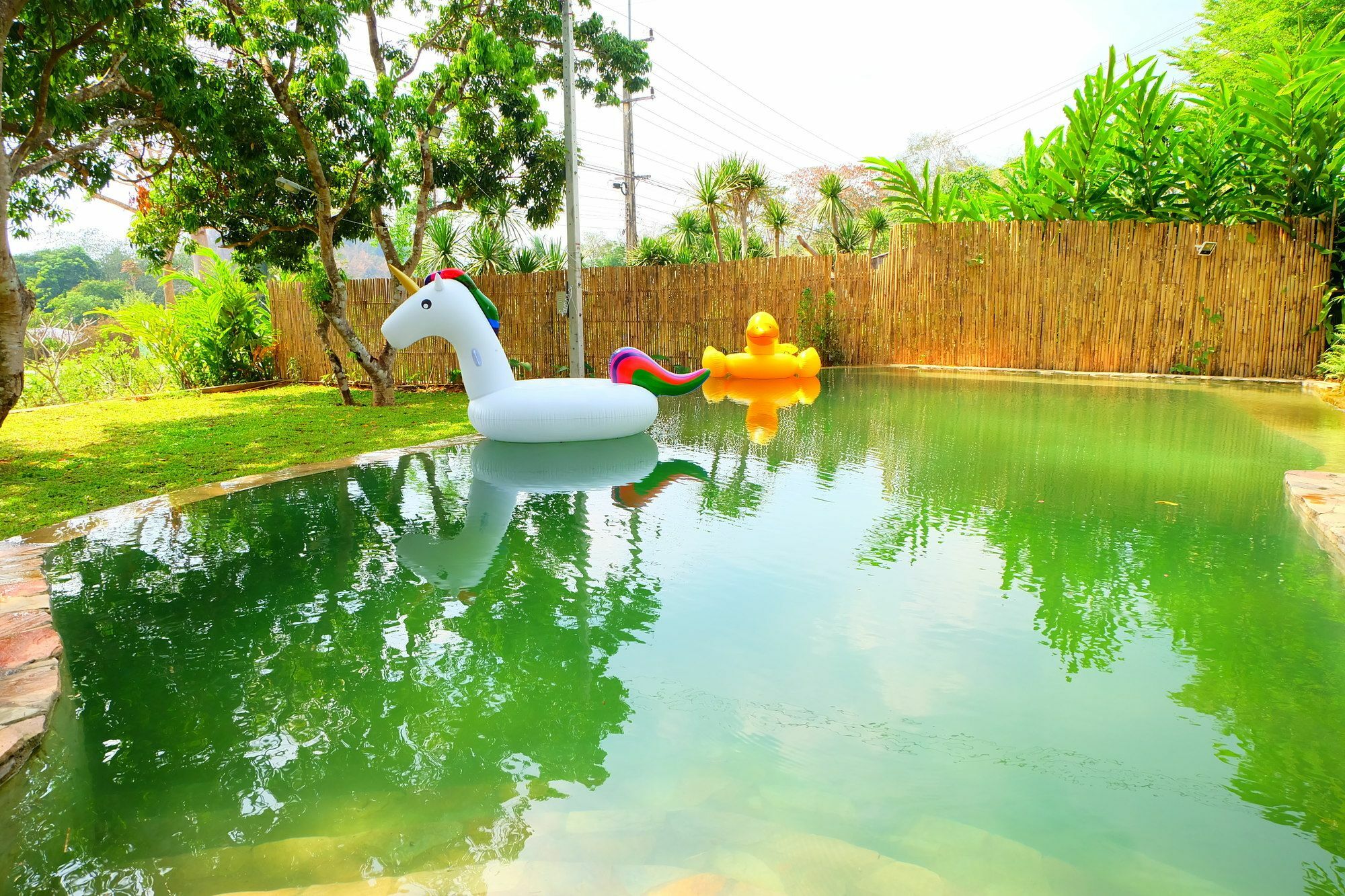 In My Dream Resort Ban Huai Maenam Noi Esterno foto