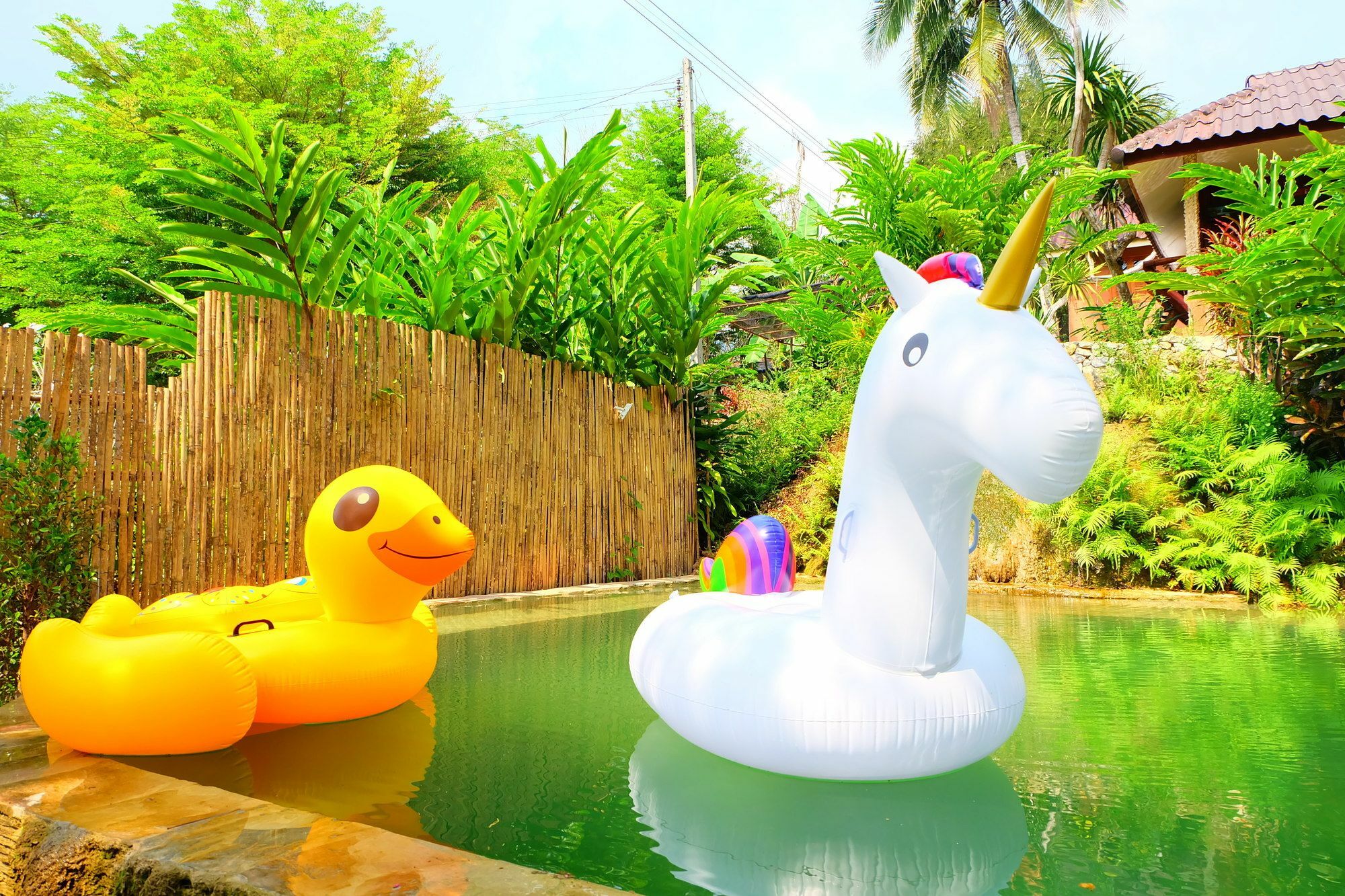 In My Dream Resort Ban Huai Maenam Noi Esterno foto