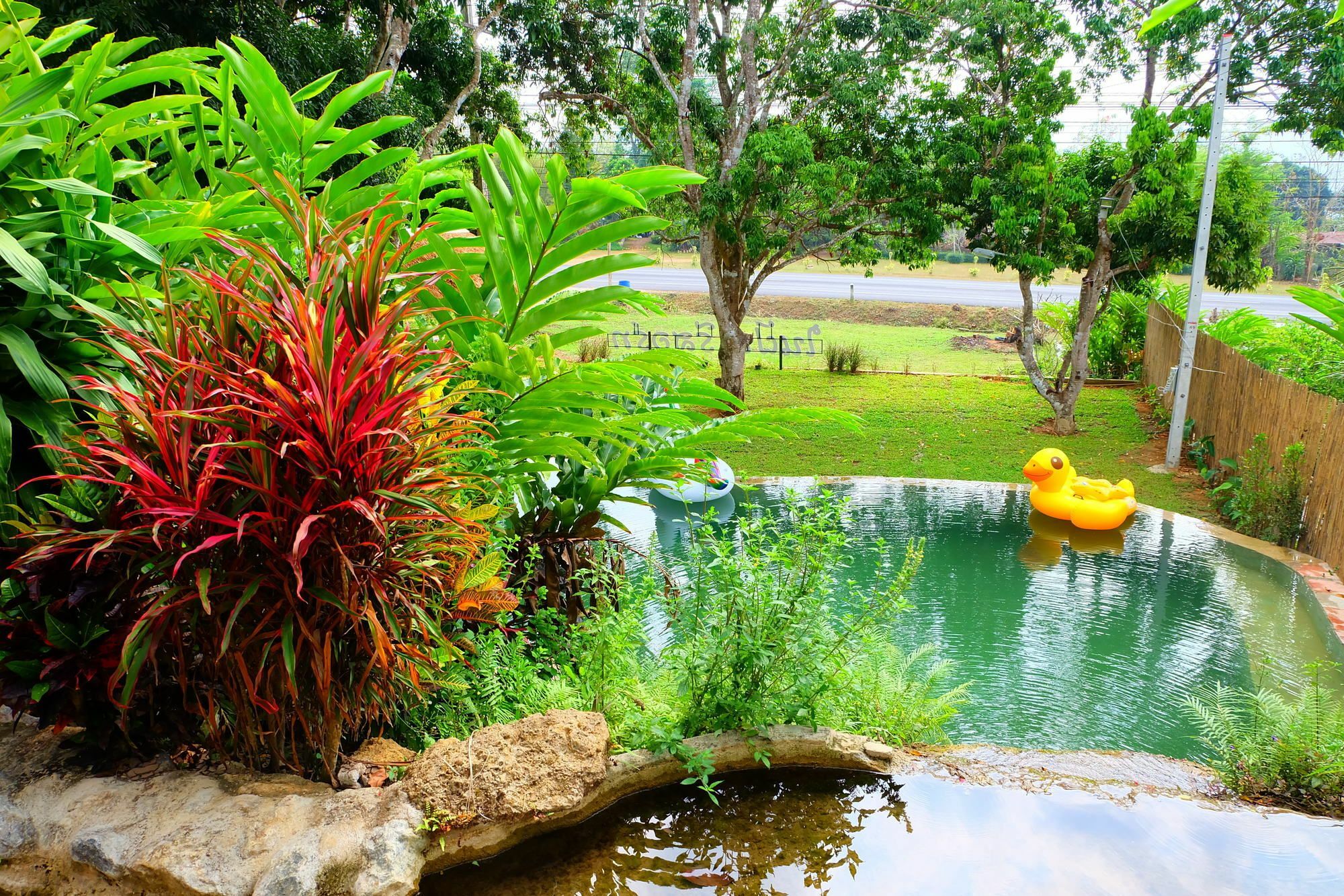 In My Dream Resort Ban Huai Maenam Noi Esterno foto